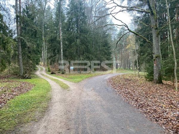 Šiaulių r. sav., Bubiai