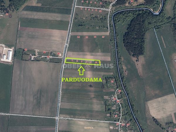 Klaipėdos r. sav., Traubiai