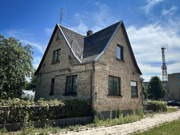 Panevėžys, Tulpės