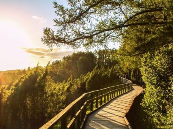 Kauno r. sav., Sietynas