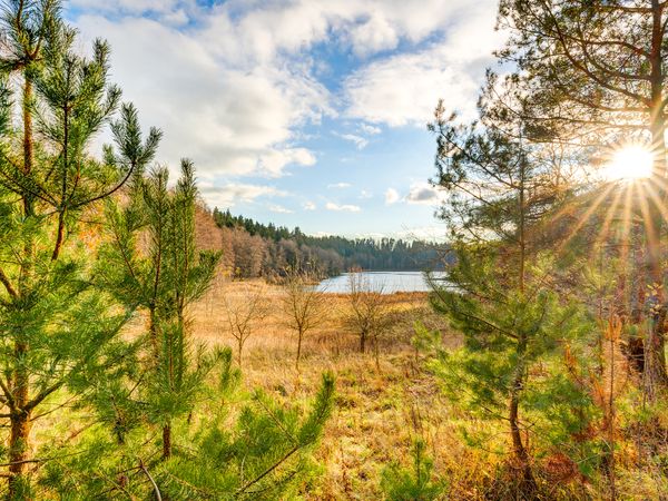 Trakų r. sav., Žuklijai