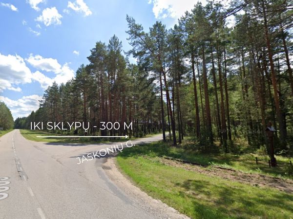 Druskininkų sav., Naujasodė