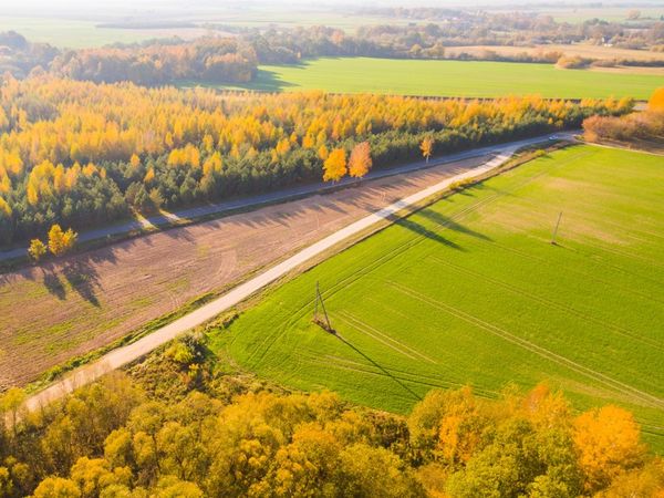 Kėdainių r. sav., Pasmilgys