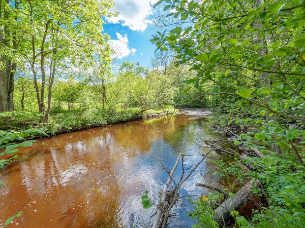 Širvintų r. sav., Brazelės