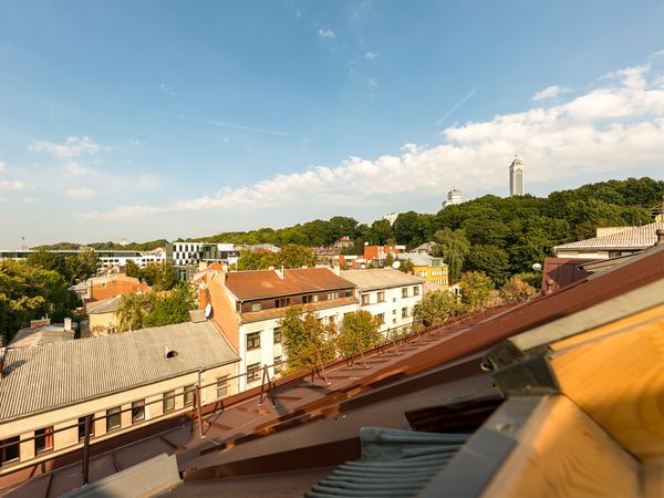 Kaunas, Centras
