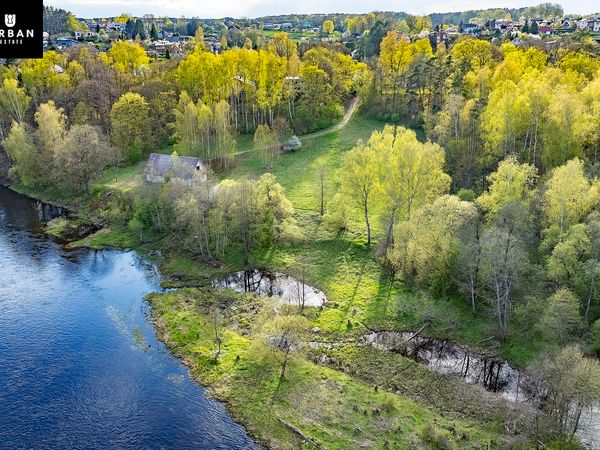 Vilnius, Balsiai