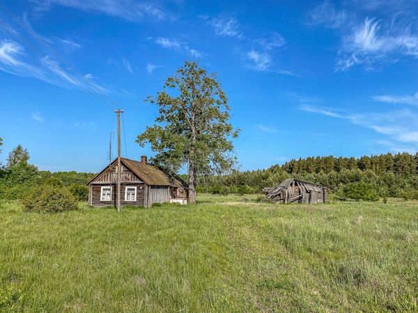 Kaišiadorių r. sav., Tarpumiškis