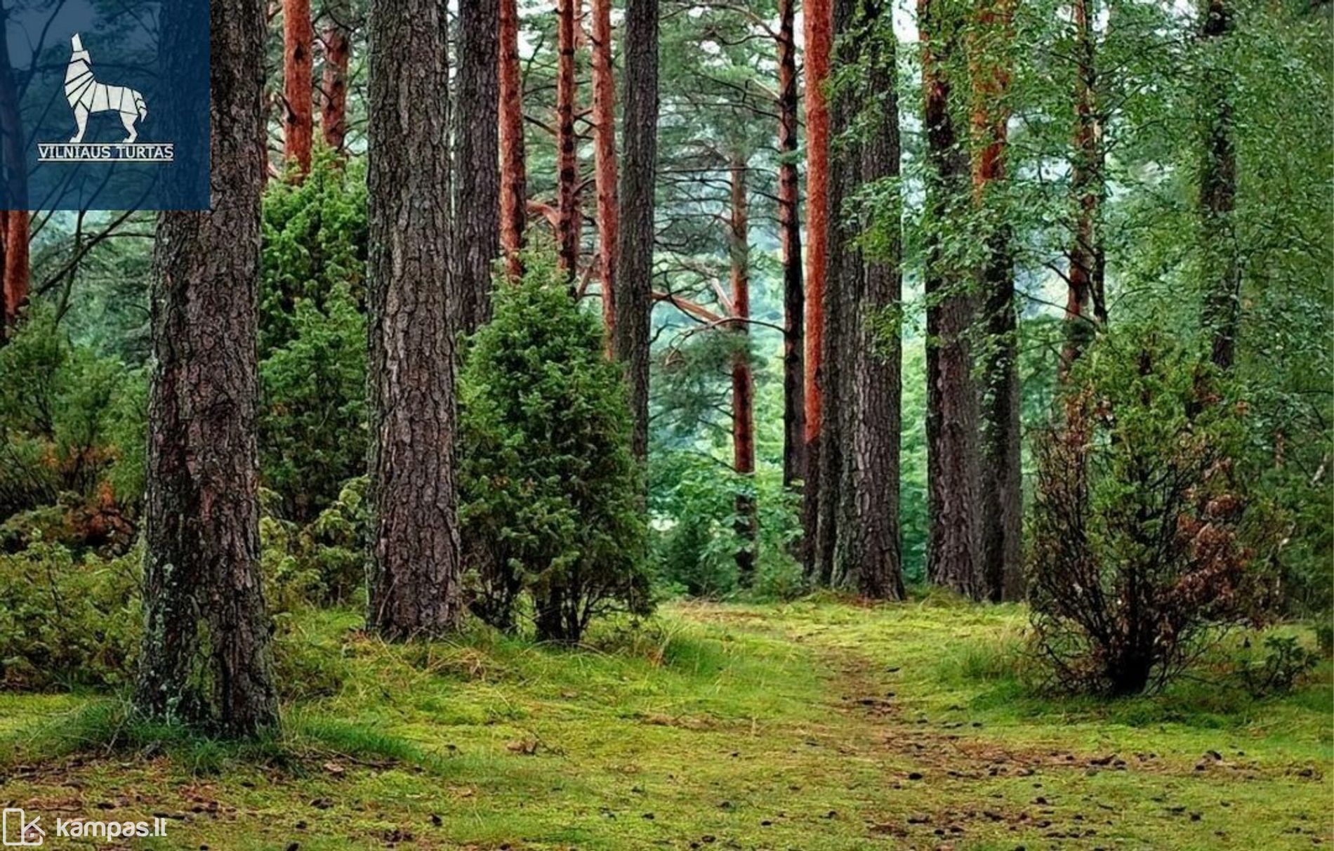 Main Image Švenčionių r. sav., Laukiai