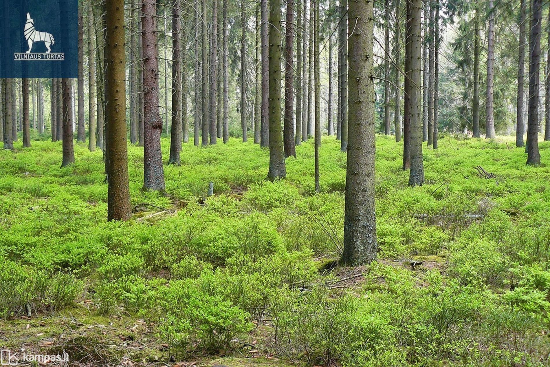 Main Image Švenčionių r. sav., Družulėnai