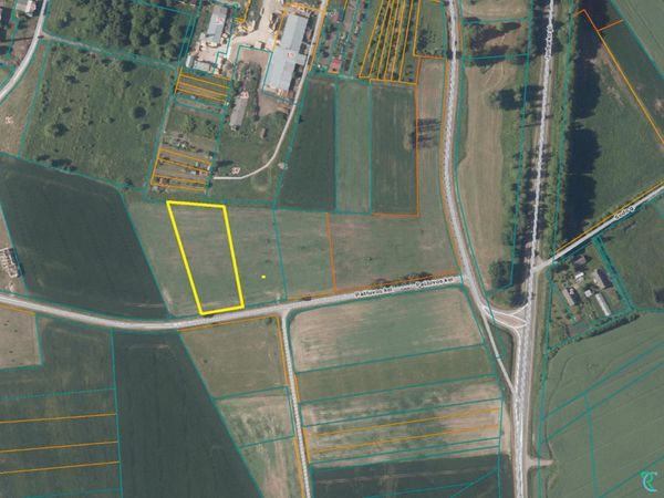 Kauno r. sav., Bubiai