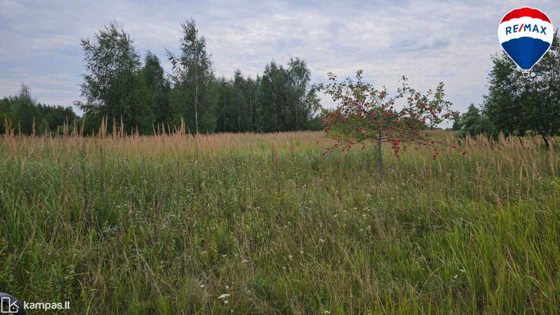 Main Image Panevėžys, Molainiai, Linų g.