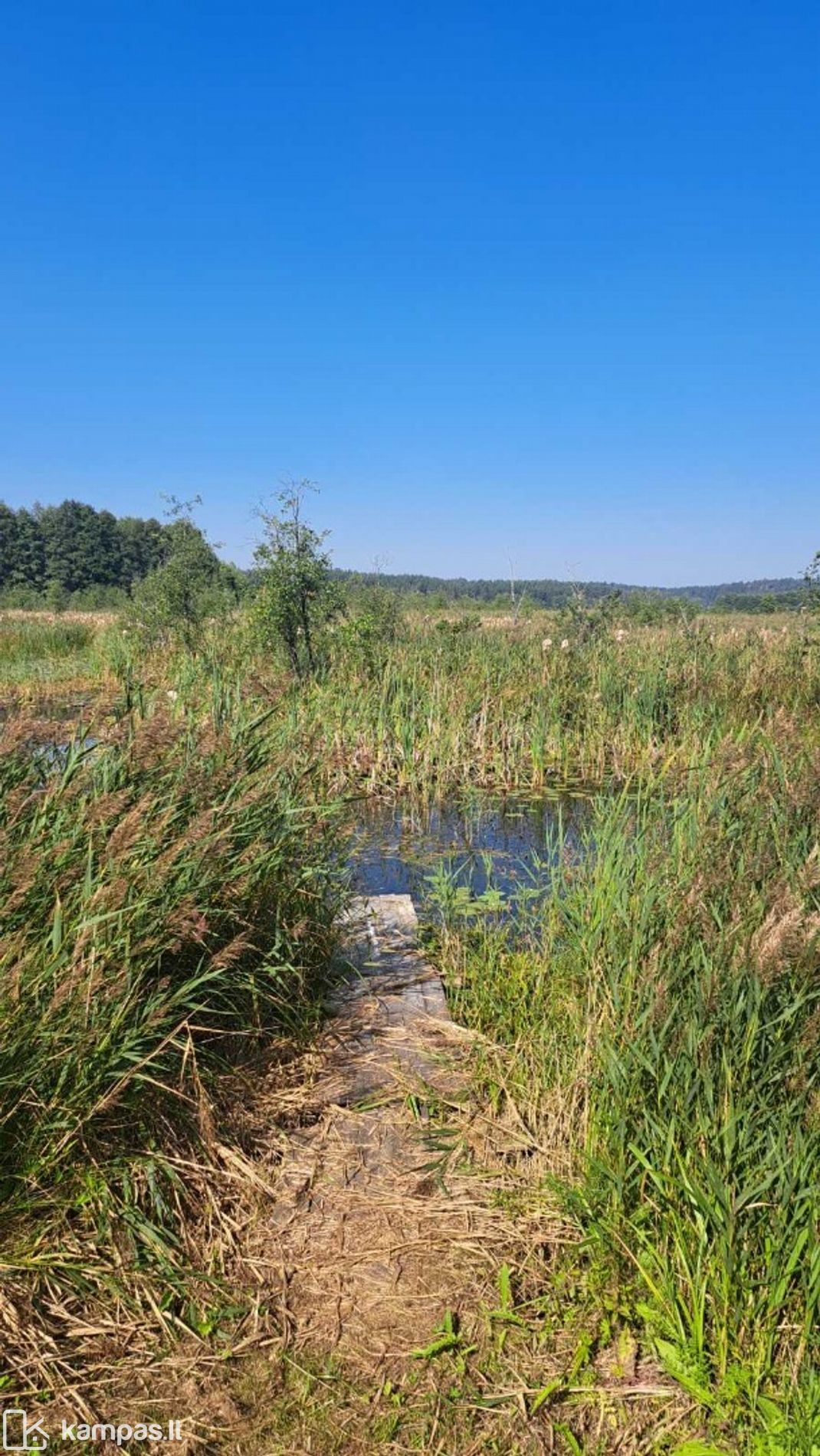 Main Image Trakų r. sav., Purvynai