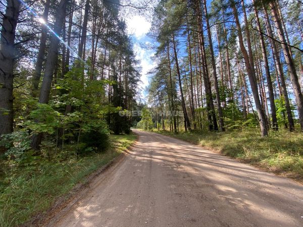 Kelmės r. sav., Svilė