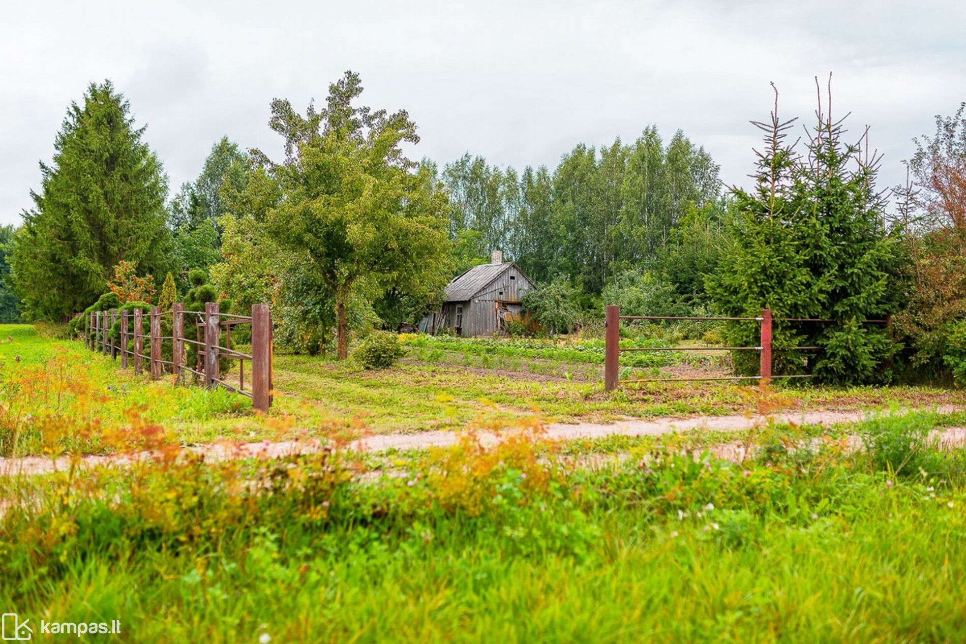 Main Image Šiaulių r. sav., Kuršėnai