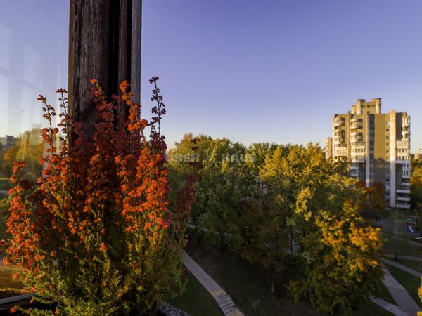 Vilnius, Šeškinė