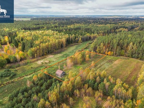 Vilniaus r. sav., Keturiasdešimt Totorių