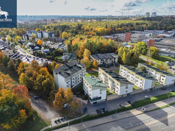 Vilnius, Baltupiai