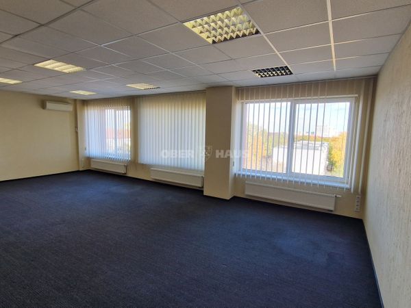 Kaunas, Žaliakalnis