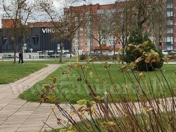 Klaipėda, Laukininkai