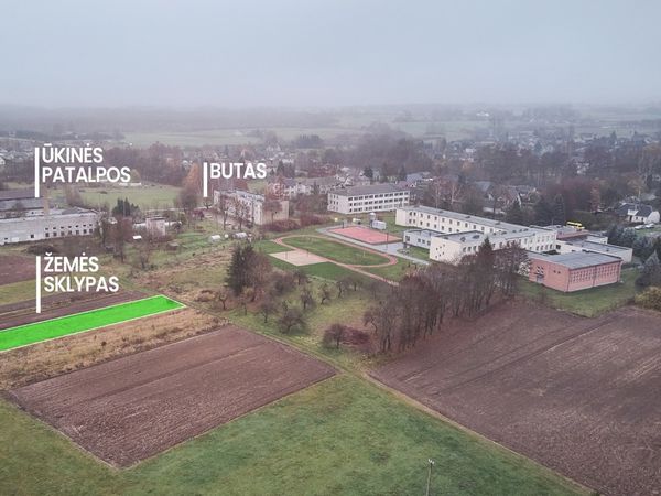 Prienų r. sav., Pakuonis