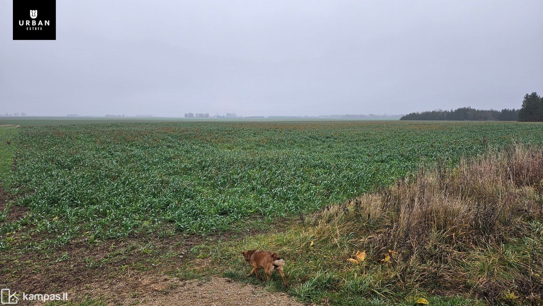 Main Image Radviliškio r. sav., Birjočiai