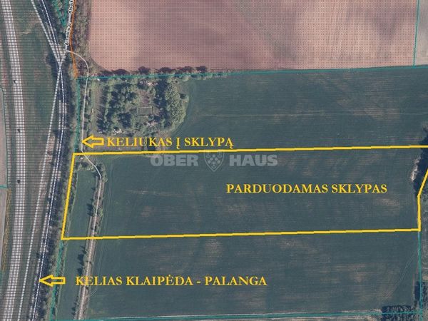 Klaipėdos r. sav., Peskojai