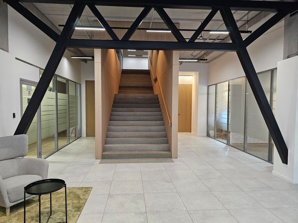 Vilnius, Šnipiškės