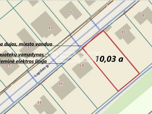 Šiauliai, Lieporiai
