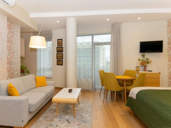 Druskininkų sav., Druskininkai