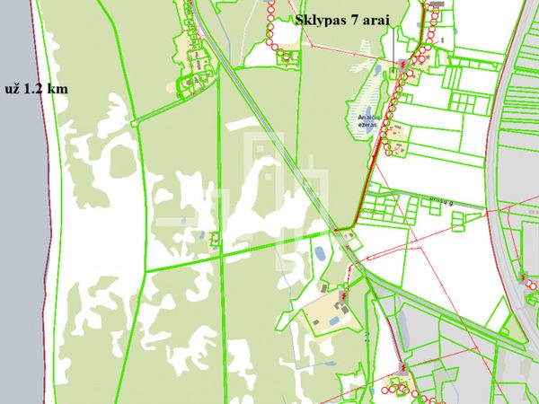 Palanga