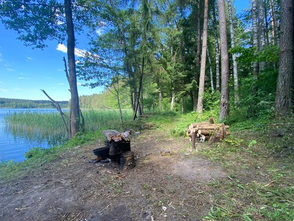 Trakų r. sav., Lausgeniai