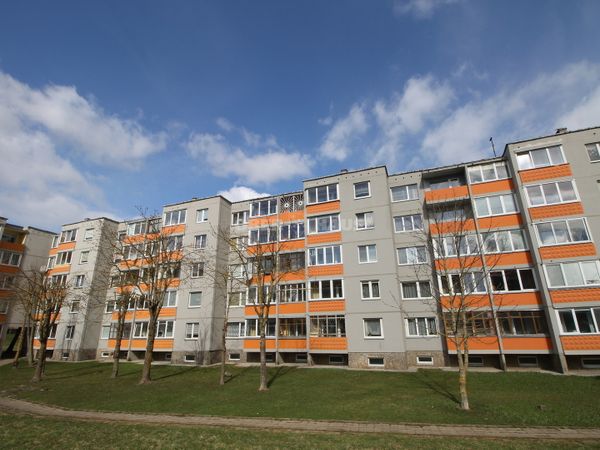 Šiauliai, Dainai