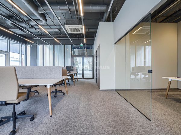 Vilnius, Šnipiškės