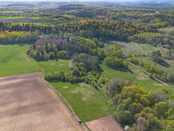 Širvintų r. sav., Janionys