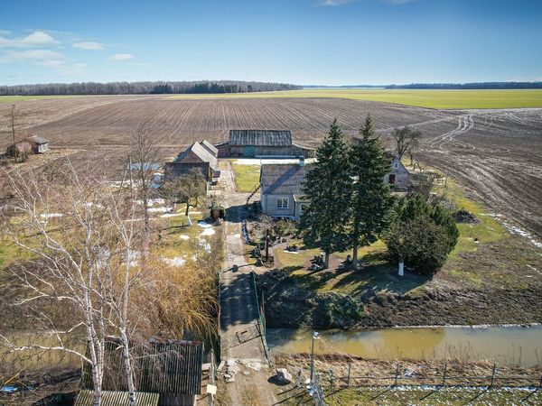 Kėdainių r. sav., Saviečiai