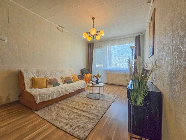 Alytus, Vidzgiris