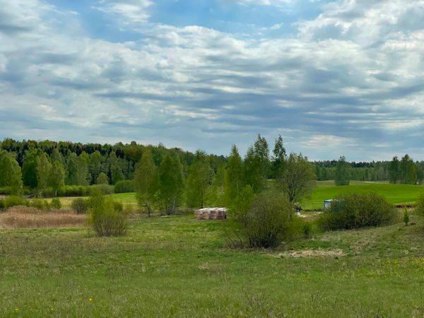 Vilniaus r. sav., Tintiniškės