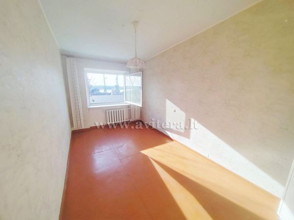 Klaipėda, Sportininkai