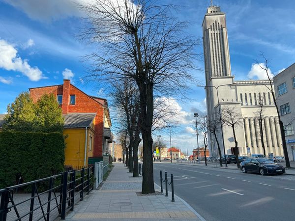 Kaunas, Žaliakalnis