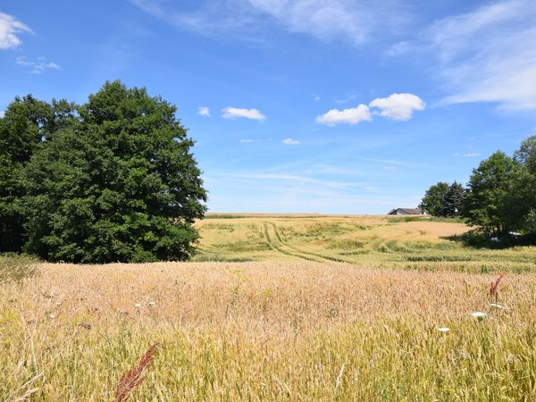 Marijampolės sav., Liudvinavas