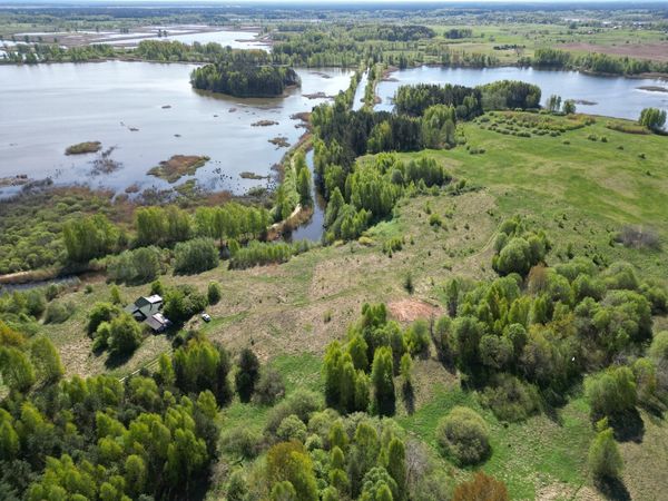 Molėtų r. sav., Grybėnai