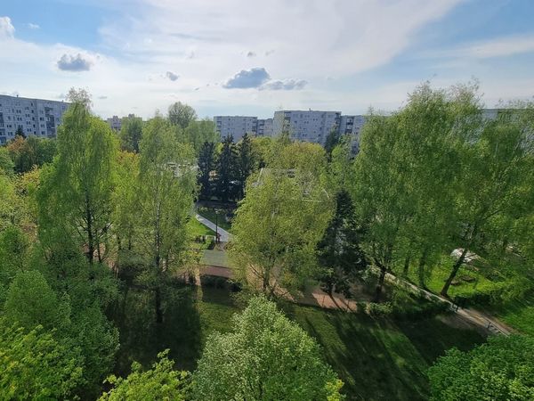 Vilnius, Šeškinė
