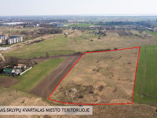 Šiauliai, Dainai