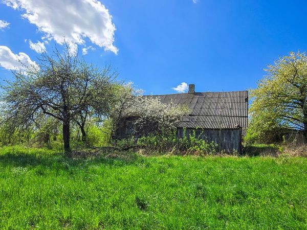Kaišiadorių r. sav., Mičiūnai