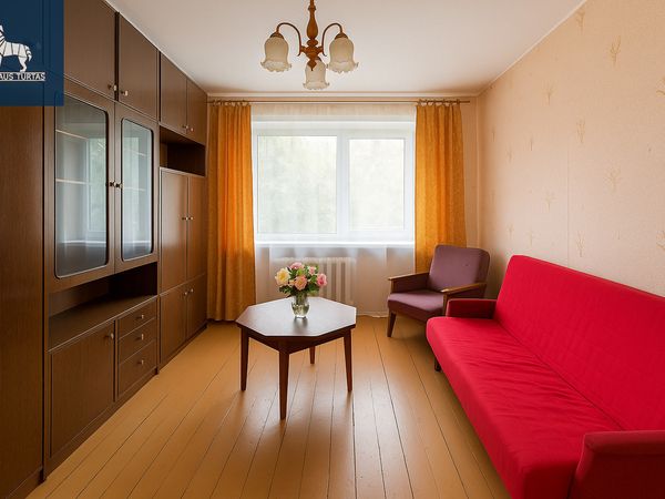 Vilnius, Naujamiestis