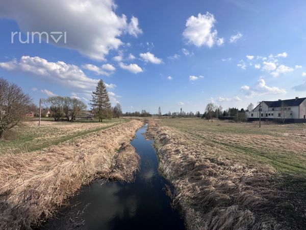 Panevėžio r. sav., Nevėžis