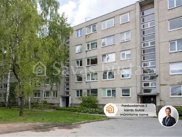 Kaunas, Palemonas
