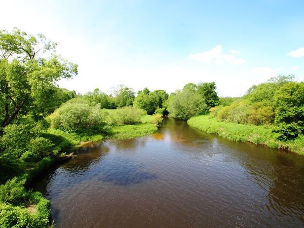 Širvintų r. sav., Žemosios Viesos