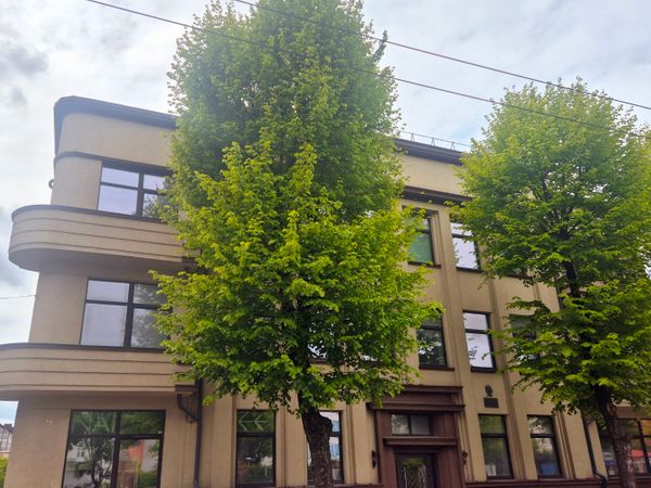 Kaunas, Centras