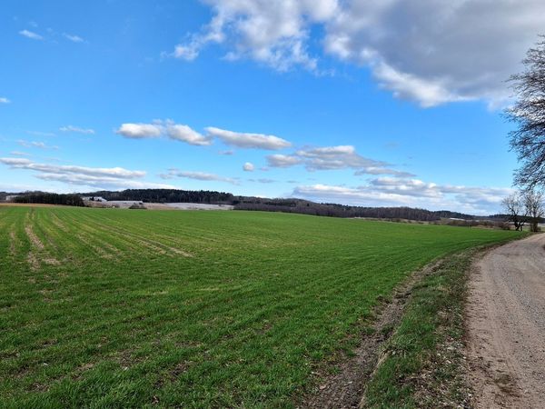 Lazdijų r. sav., Sutrė